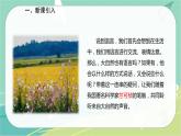 5 大自然的语言-2021-2022学年八年级语文下册同步教学课件（部编版）