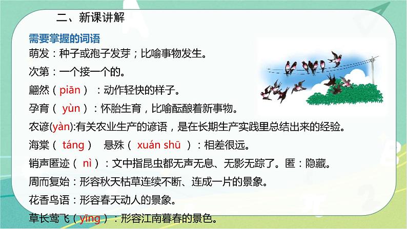 5 大自然的语言-2021-2022学年八年级语文下册同步教学课件（部编版）第4页