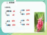 5 大自然的语言-2021-2022学年八年级语文下册同步教学课件（部编版）