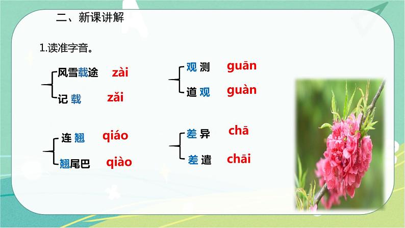 5 大自然的语言-2021-2022学年八年级语文下册同步教学课件（部编版）第5页
