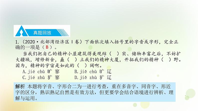 1.语文-第一部分 基础知识及运用-语音第8页