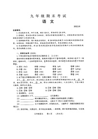 河南省濮阳市2021-2022学年九年级上学期期末考试语文试卷