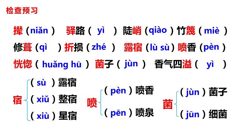 部编版七年级语文下册---15 驿路梨花 课件第7页