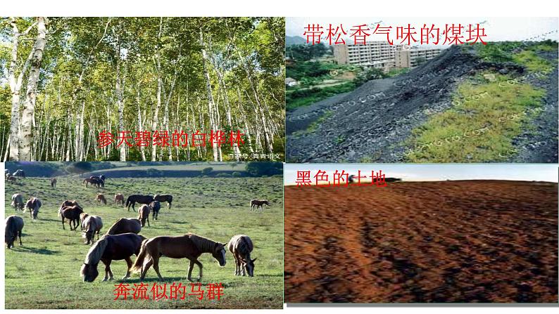 8、《土地的誓言》课件第2页