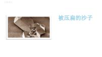 语文八年级下册被压扁的沙子课文内容课件ppt