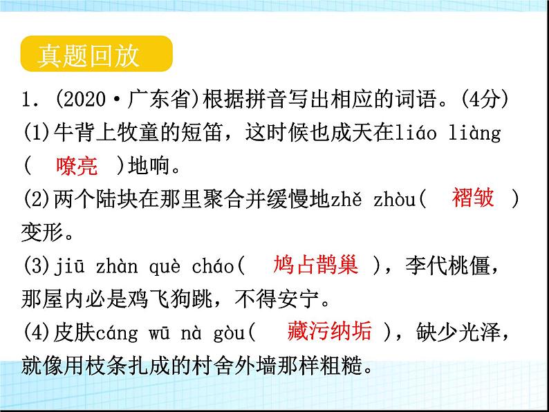 第二章字词积累PPT课件(广东专用)第4页