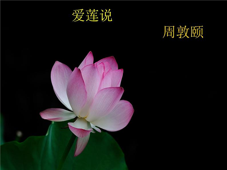 第17课《短文两篇——爱莲说》课件（共22PPT）2021—2022学年部编版语文七年级下册第6页