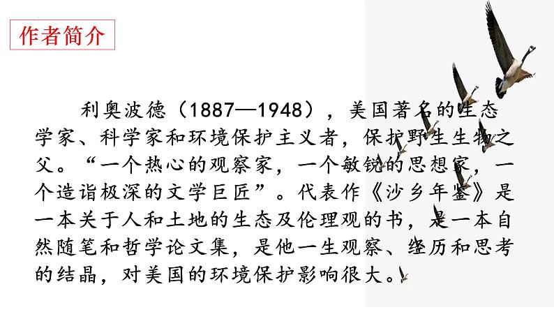 第7课《大雁归来》（共24张PPT）2021-2022学年部编版语文八年级下册04