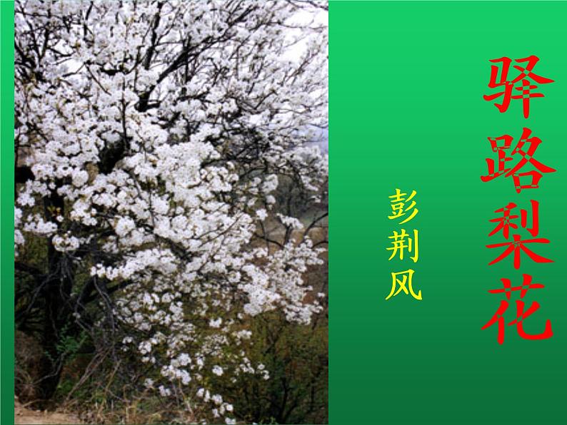 第15课《驿路梨花》课件（共30页）2021-2022学年部编版语文七年级下册第3页