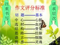 初中语文人教部编版七年级下册写作 怎样选材教课内容ppt课件