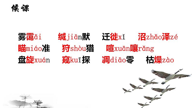 第7课《大雁归来》课件（共20张PPT）2021—2022学年部编版语文八年级下册第2页