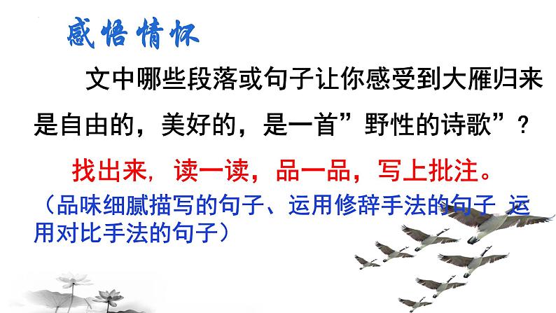 第7课《大雁归来》课件（共20张PPT）2021—2022学年部编版语文八年级下册第7页