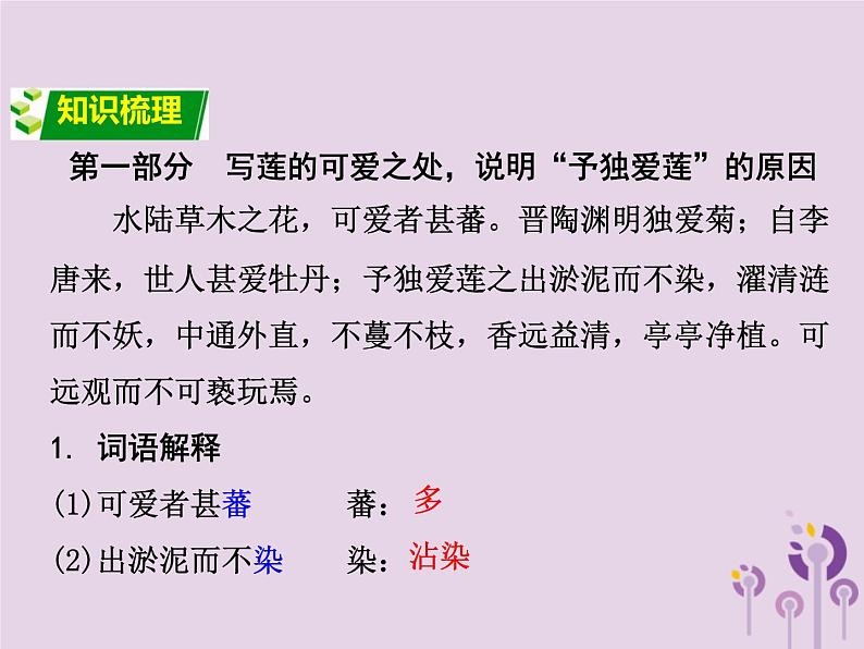 中考语文二轮复习文言文阅读《爱莲说》课件（含答案）第2页
