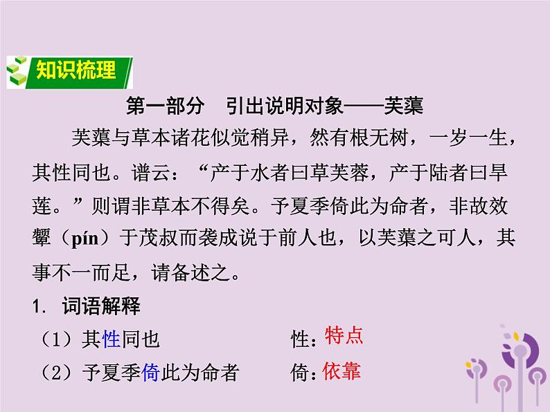 中考语文二轮复习文言文阅读《芙蕖》课件（含答案）第2页
