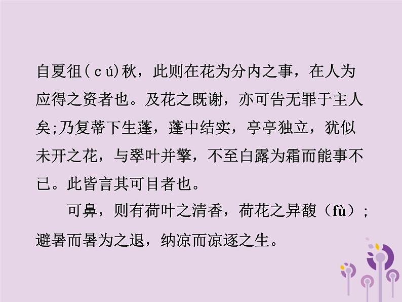 中考语文二轮复习文言文阅读《芙蕖》课件（含答案）第6页