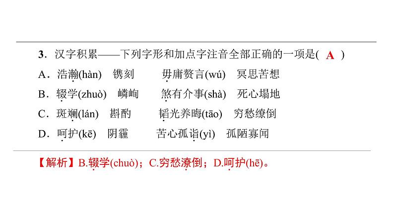 中考语文二轮专题复习训练01《汉字积累》课件（含答案）第4页