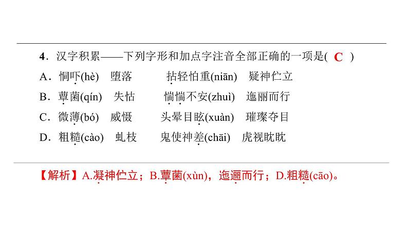 中考语文二轮专题复习训练01《汉字积累》课件（含答案）第5页