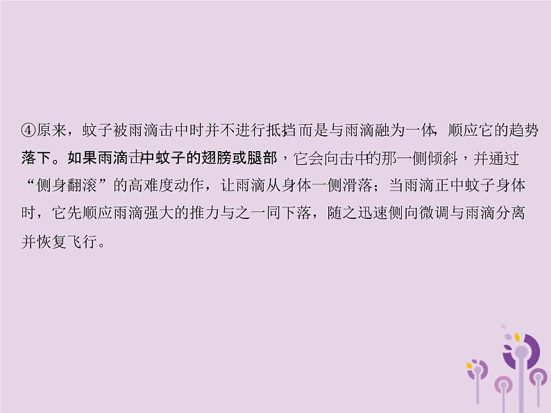 (通用版)中考语文总复习第15讲《说明文阅读一》课件（含答案）第5页