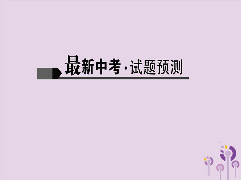 (通用版)中考语文总复习第17讲《议论文阅读一》课件（含答案）第2页