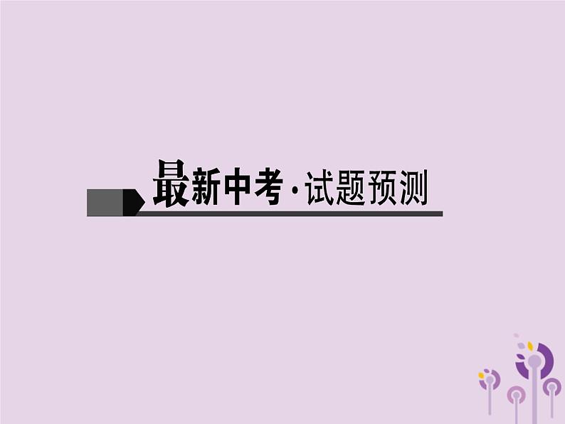 (通用版)中考语文总复习第25讲《文言文阅读三》课件（含答案）第2页