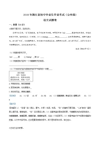 2019年浙江省台州市中考语文试题（解析版）