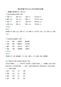 2019年四川省遂宁市中考语文试题（解析版）