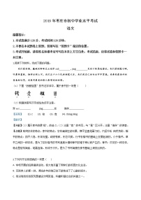 2019年山东省枣庄市中考语文试题（解析版）