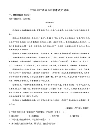 广西百色市2020年中考语文试题（解析版）