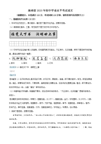 海南省2020年中考语文试题（解析版）