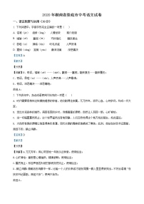 湖南省娄底市2020年中考语文试题（解析版）
