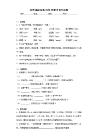 山东省威海市2020年中考语文试题-