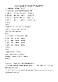 精品解析：陕西省2020年中考语文试题（解析版）