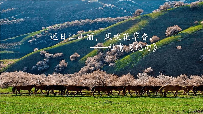 部编版语文七年级上册 《1春》第一课时 课件+教案03