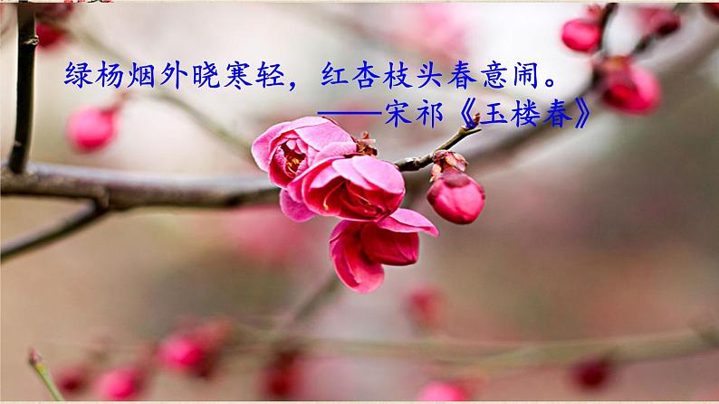 部编版语文七年级上册 《1春》第一课时 课件+教案05