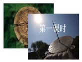 部编语文 八下 时间的脚印 课件