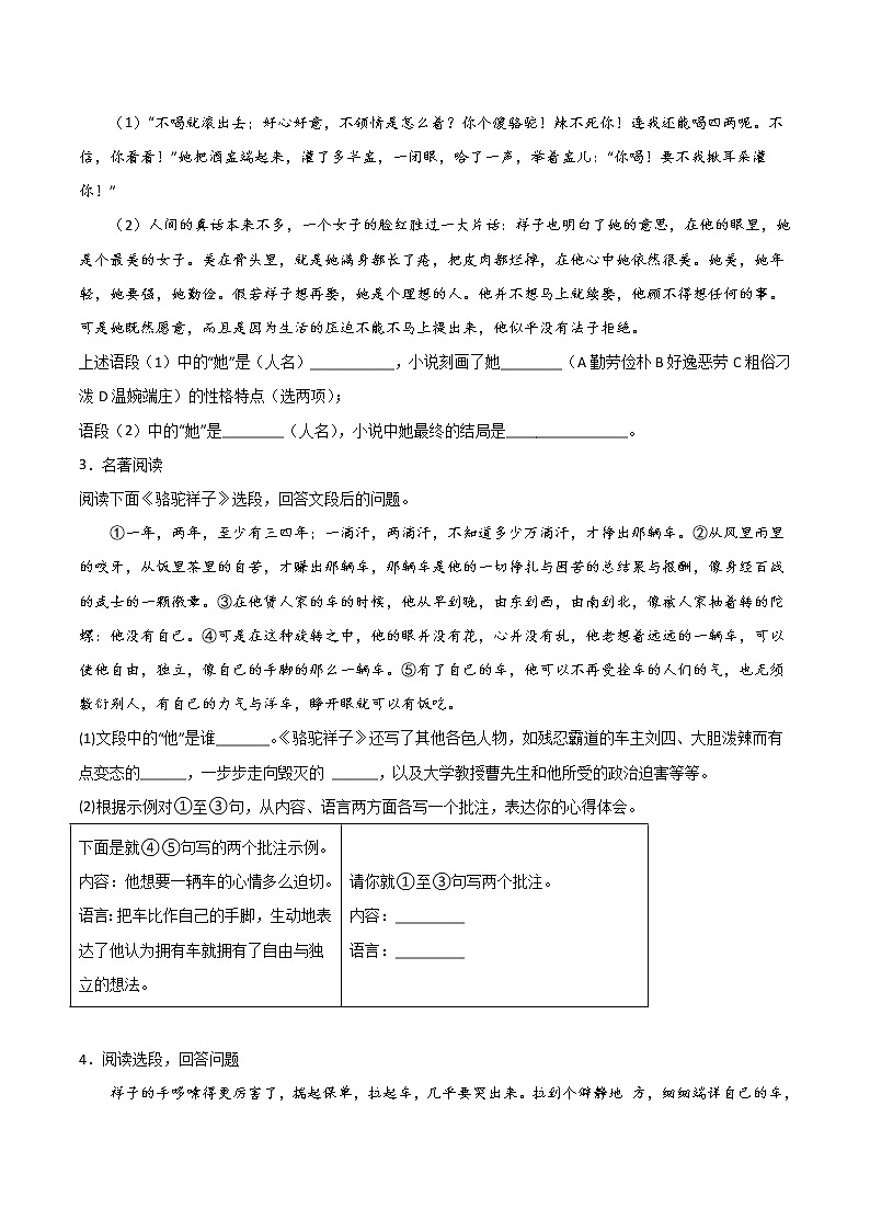 专题03：名著阅读-2021-2022学年七年级语文下册期中专项复习（部编版）02