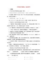 (通用版)中考语文专题复习专题05《标点符号》练习题（含答案）