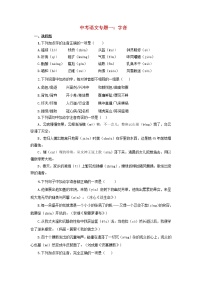 (通用版)中考语文专题复习专题01《字音》练习题（含答案）