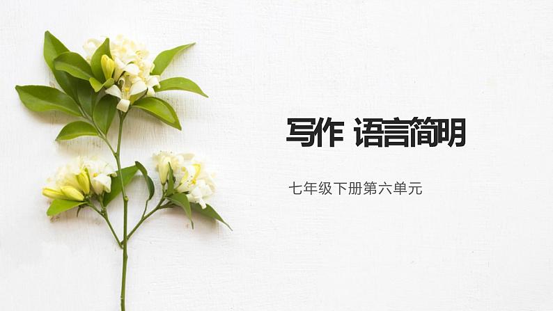 第六单元写作《语言简明》课件（共26张ppt）2021-2022学年部编版语文七年级下册第1页