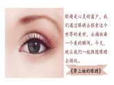人教版七年级语文下册 第六单元 24 带上她的眼睛 课件