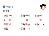 人教版七年级语文下册 第六单元 24 带上她的眼睛 课件