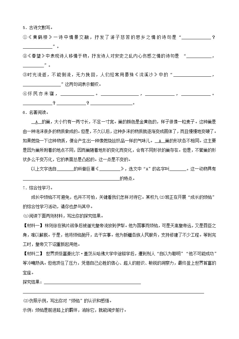 2022年中考语文限时练习小卷12 (含解析)第2页