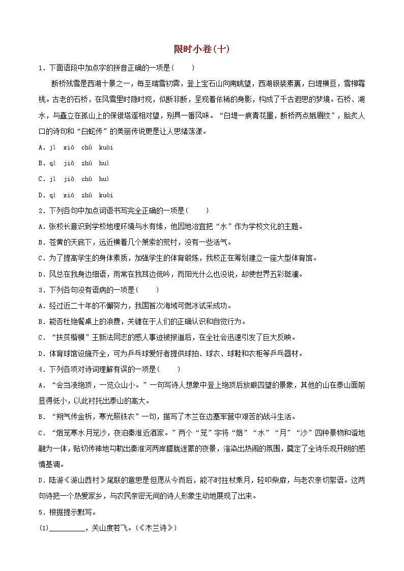 （通用版）中考语文总复习限时练习小卷(10) (含答案)第1页