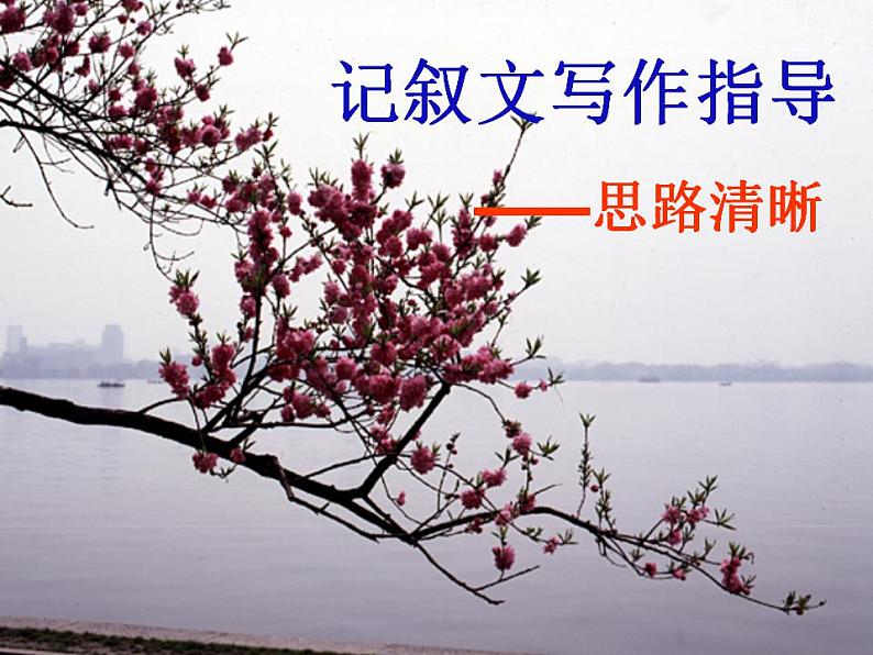 部编语文七年级上册第四单元写作 思路要清晰课件+教案+各种素材01