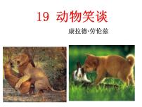 人教部编版七年级上册动物笑谈课文ppt课件