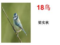 人教部编版18 鸟课堂教学课件ppt