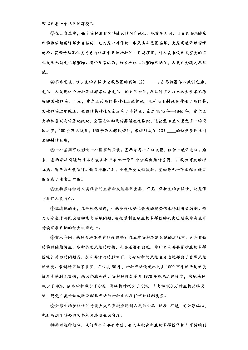 九年级语文二模仿真模拟卷二（原卷版）-【走向中考】备战2022年中考语文二轮重点知识讲练（上海专用）第3页