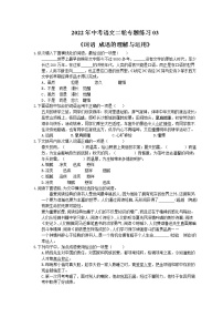 2022年中考语文二轮专题练习03《词语 成语的理解与运用》(含答案)