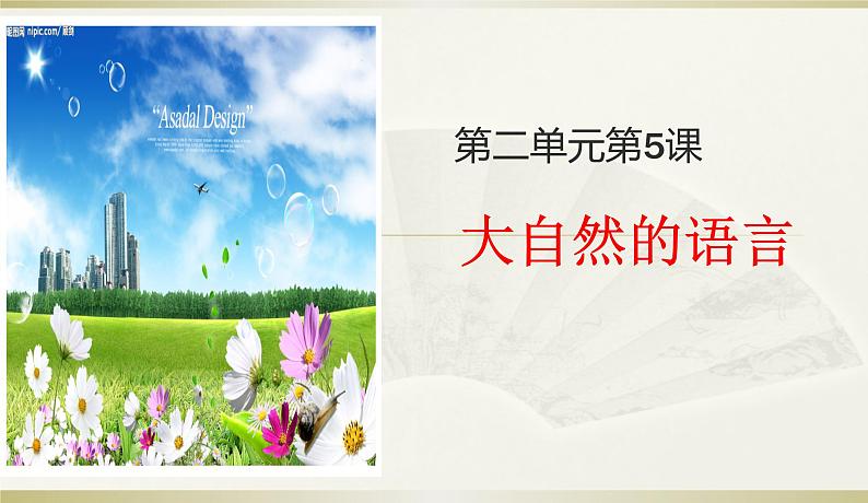 《大自然的语言》课件第2页