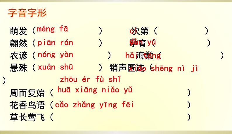 《大自然的语言》课件第5页